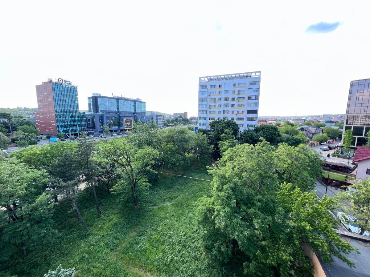 3 Rooms Apartment Palace View ヤシ エクステリア 写真