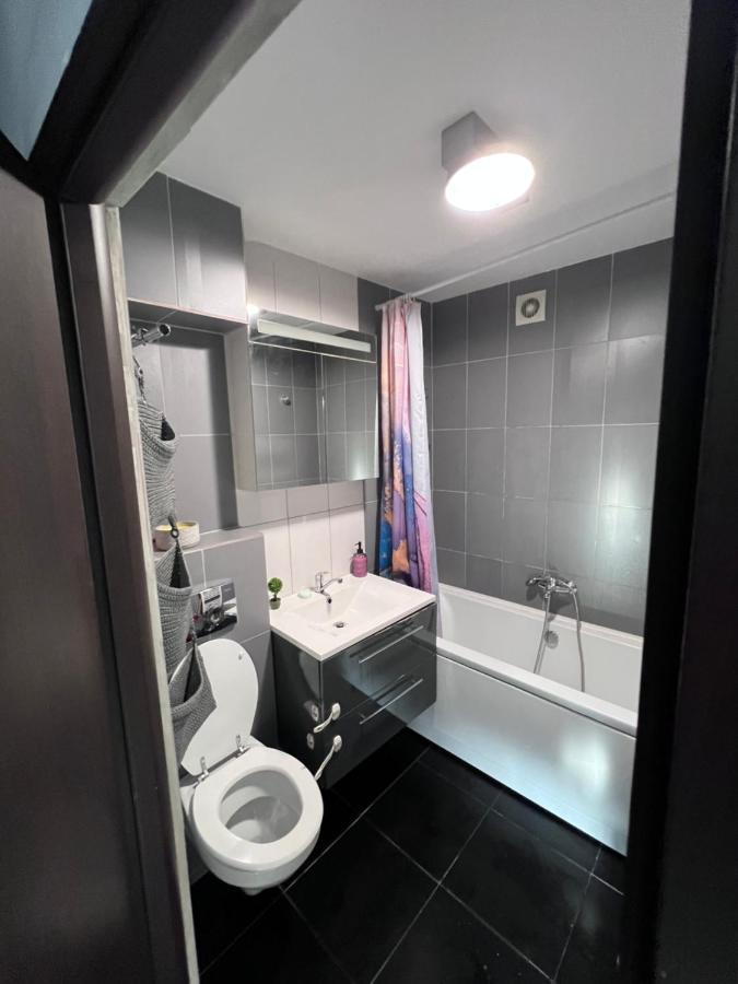 3 Rooms Apartment Palace View ヤシ エクステリア 写真